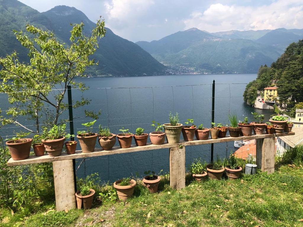 Gli Orti Della Civera " Cottagecore" Amazing View Nesso Dış mekan fotoğraf