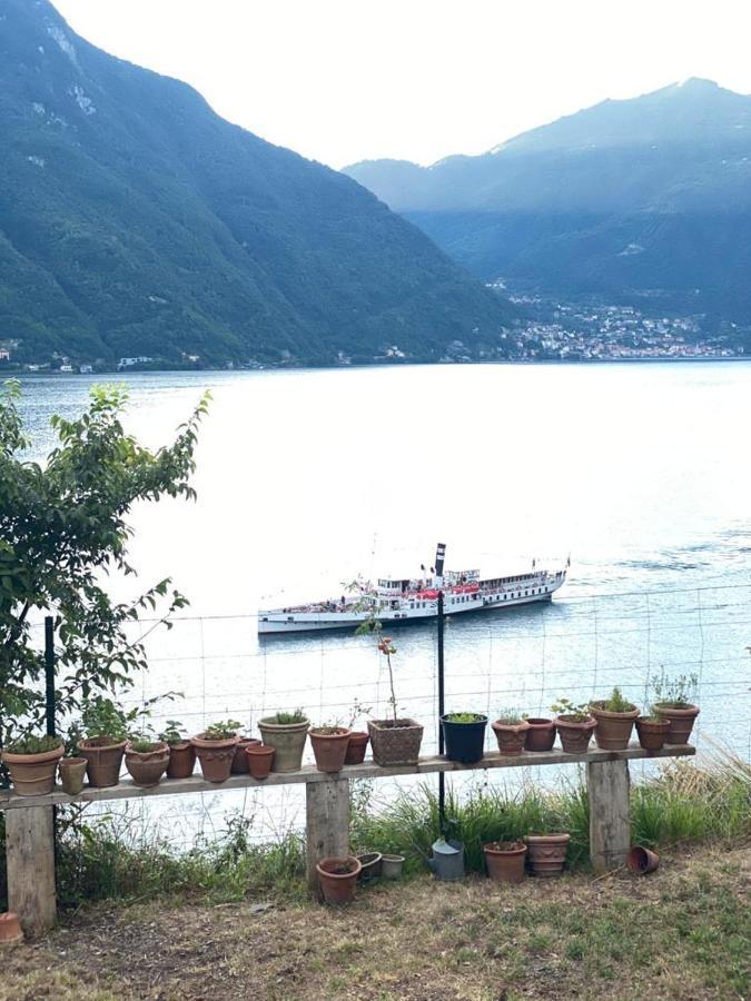 Gli Orti Della Civera " Cottagecore" Amazing View Nesso Dış mekan fotoğraf